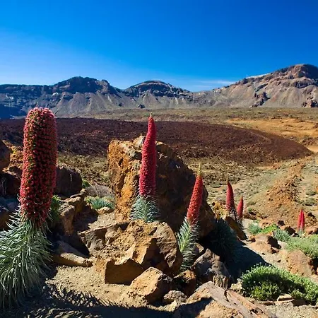 Апарт-отель Pierre & Marazul Del Sur 4*